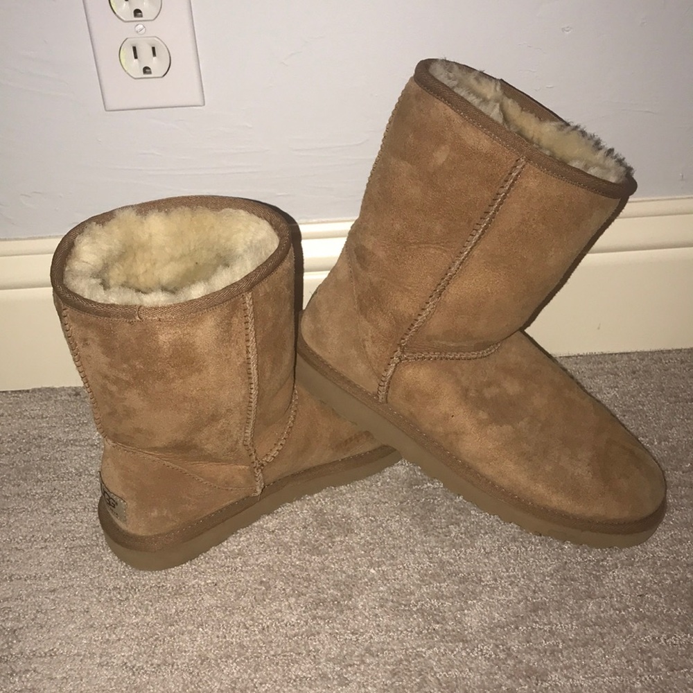Short Chestnut Ugg